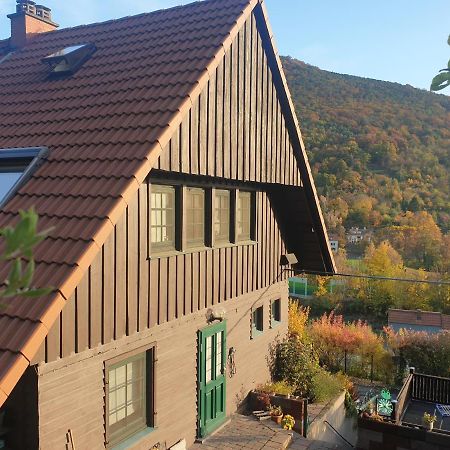 Vila Schontalblick Neustadt an der Weinstraße Exteriér fotografie