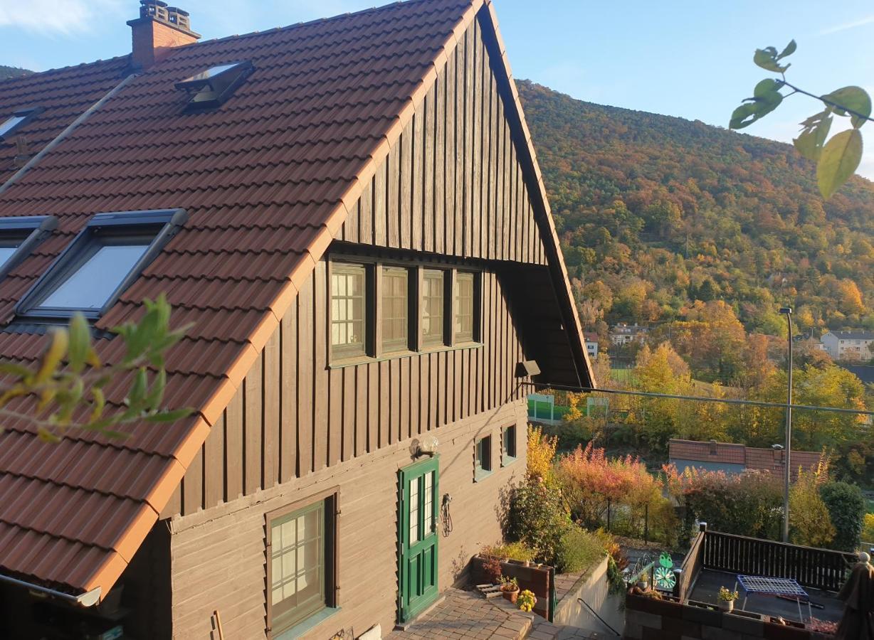 Vila Schontalblick Neustadt an der Weinstraße Exteriér fotografie